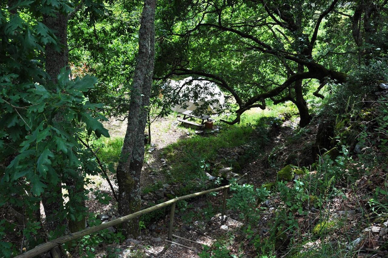 Geodome - Lugar Das Varzeas Pracerias Exteriör bild